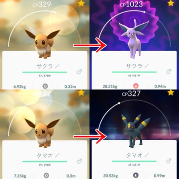 ポケモンgo 進化のアイテム入手方法とポケモンごとの違いは Matomany