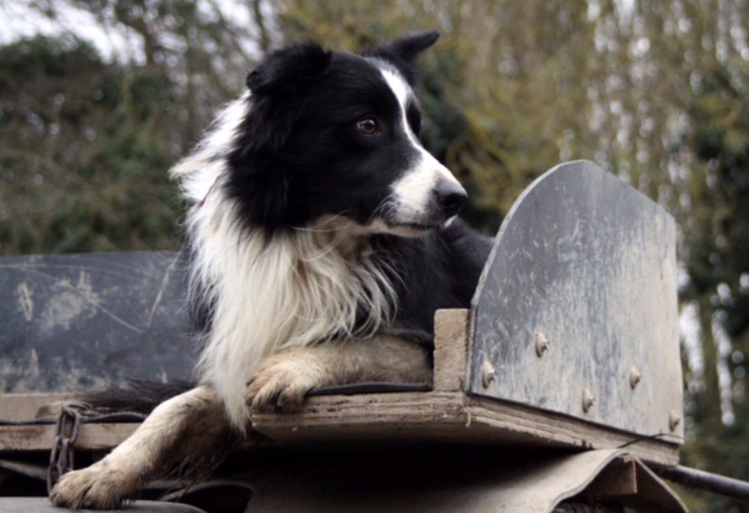 Male Model "Jim" available for postcards and Calender's !