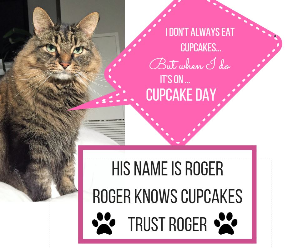 torontoanimaldr's tweet photo. #NationalCupcakeday is less than a week away.  Monday Feb, 27 https://t.co/NfyRimIxGK #torontopets #spca #toronto #fundraising https://t.co/0tWobrK1ha