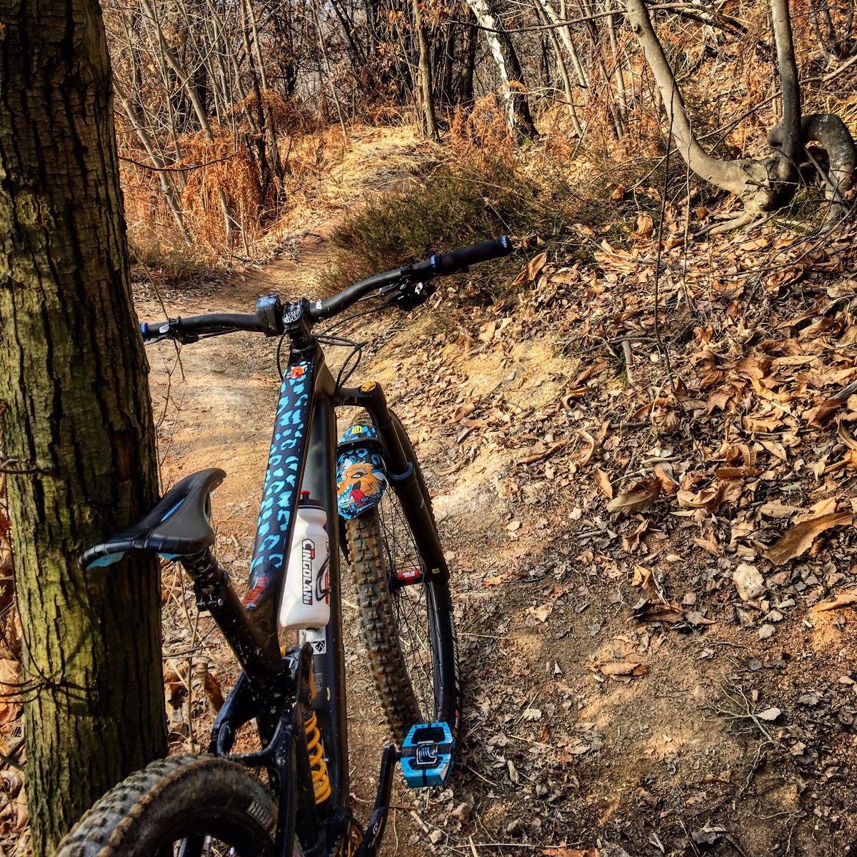 Hard day of training today with <a href="/dennylupato/">Denny Lupato</a> !!!🤙