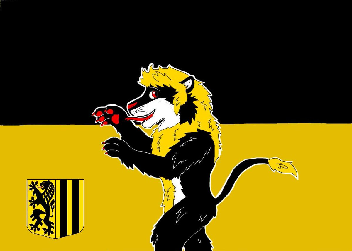 Flagge der Dresden Furs