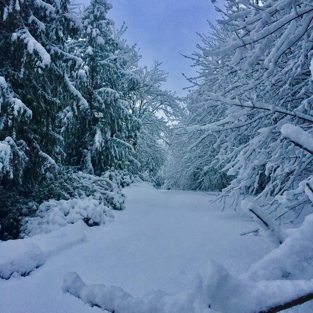 It's chilly. We have soup. Need we say more? #SWichItUp (PC: IG user crewsnatalie)