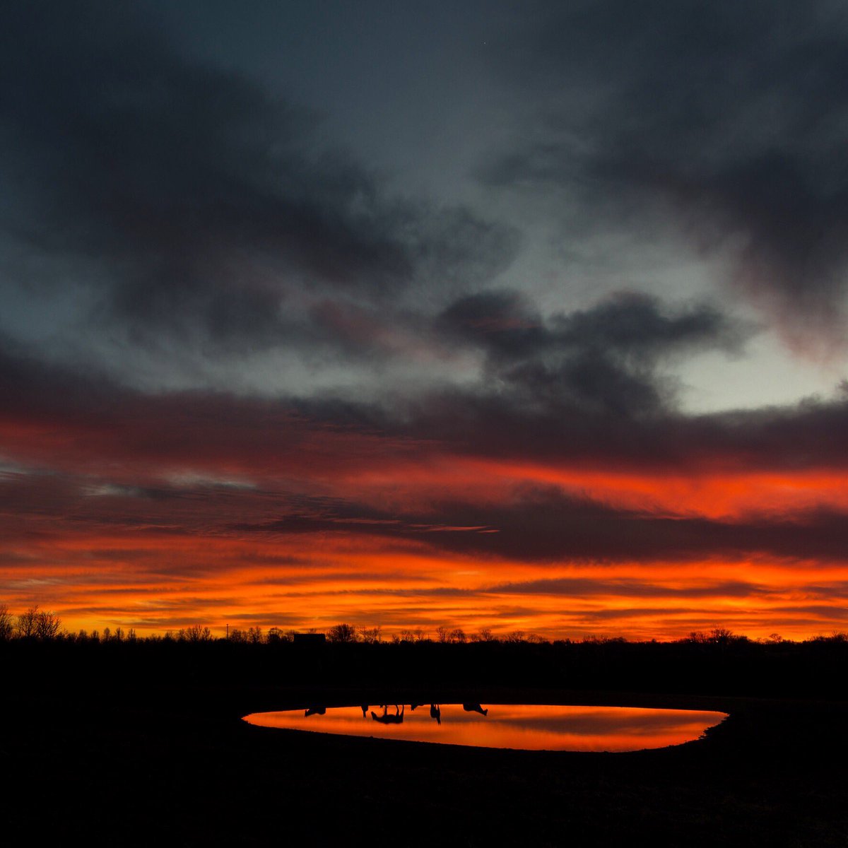 When the sun does shine on my old Kentucky home,it offers great sunsets. 2-16-17 #travelky <a href="/KYforKY/">KentuckyForKentucky</a> <a href="/BluegrassScenes/">Scenes of the Bluegrass</a> #parisky