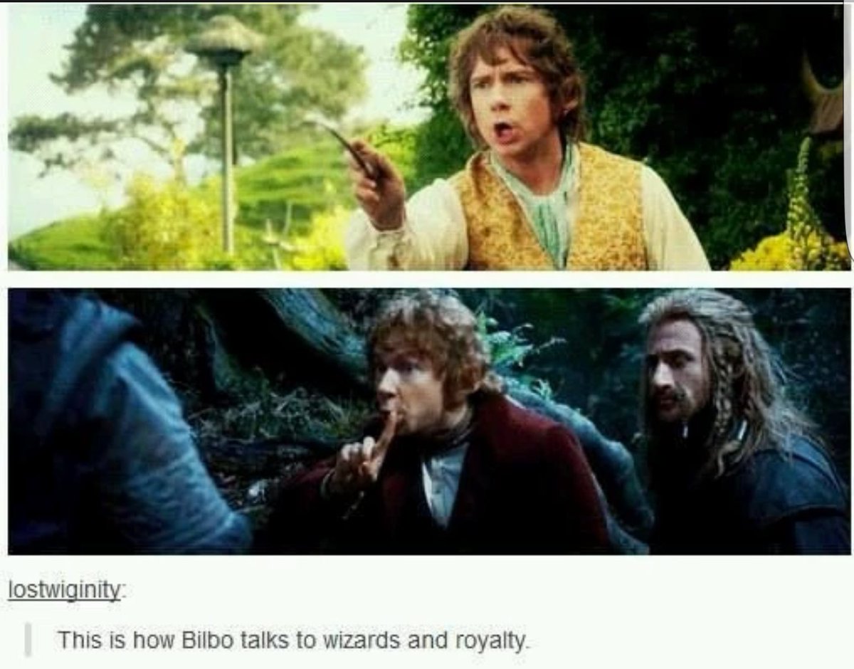 "And I shall continue to do so. I shall speak to them as I see fit. Thorin needs it... stubborn dwarf."