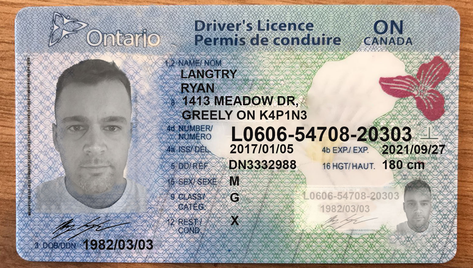Fake Id Passaport