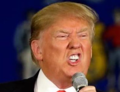 Trump_is_fat's tweet photo. "Do I have pulled pork in my teeth?  I think I have pulled pork in my teeth."
Probably donald. You are fat.
#TrumpisFat https://t.co/SyqFz62Krq