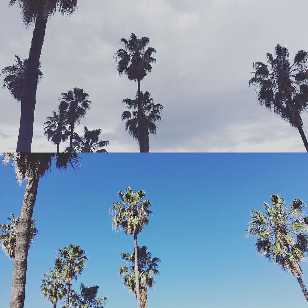 What a difference a day makes in L.A. #santamonica #LA #california #stillinadrought ift.tt/2m8dUUm Join t…
