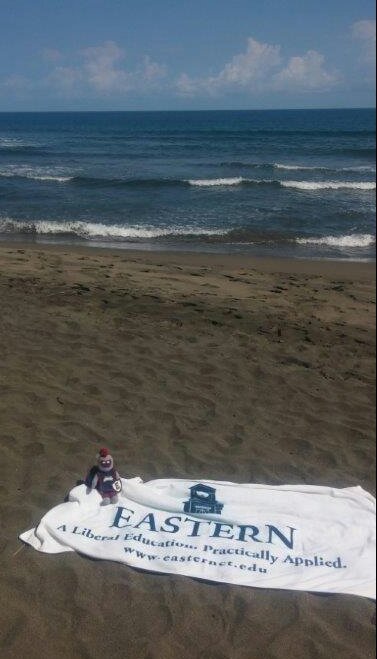 EasternCTStateU's tweet photo. Willi was spotted on the beach in Puerto Viejo, Costa Rica this week! #whereswilli https://t.co/d7HoGI4q0J