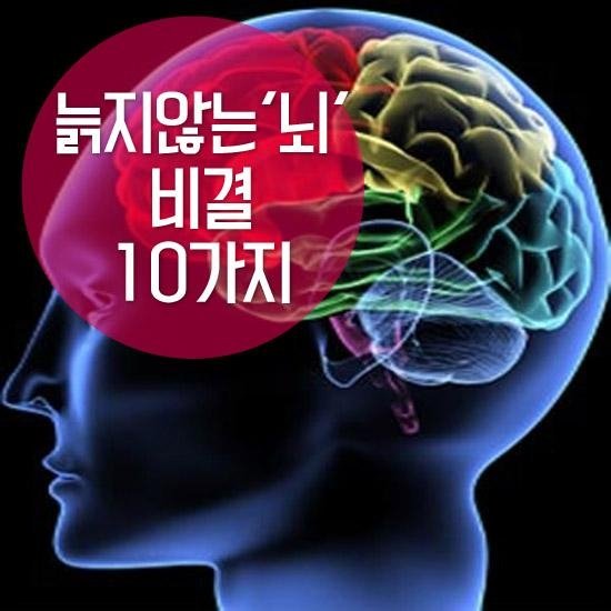 늙지않는 뇌 비결    |   CEO 헬스
작성자  살림 ksjesus75@naver.com2017-02-22 07:47:49