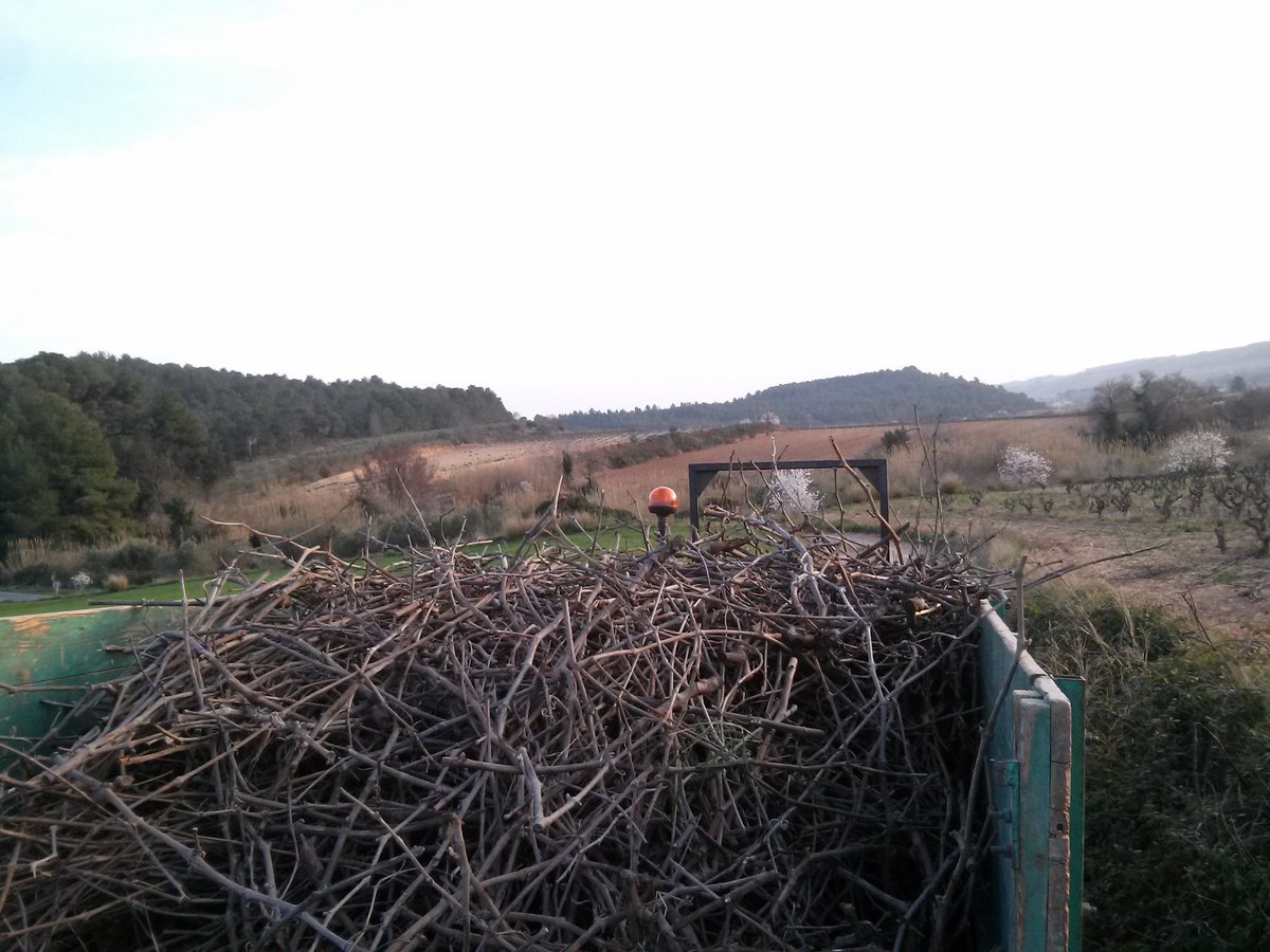 jaumemarles's tweet photo. #Redoltes de #vinyesvelles de sistema en vas de #LesPobles #estolverd #calçotades @gerardgalofre https://t.co/MQp3ksa09Z