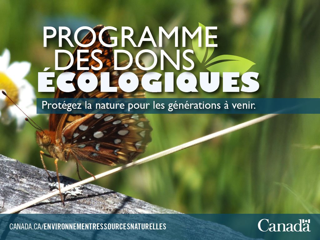 environnementca's tweet photo. En faisant un don écologique, vous pouvez contribuer à protection de la #biodiversité du CAN. #Conservation2020ca https://t.co/7pQCY1msqC https://t.co/vvC7cj8X7d