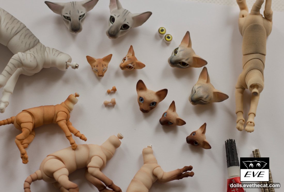 evestudiobeacon's tweet photo. To us process shots are always the most fascinating to study!
#pets #bjdpets #cat #kitty #evestudio #doll #evestudiodolls #bjd #cute https://t.co/AihSkbCfRW