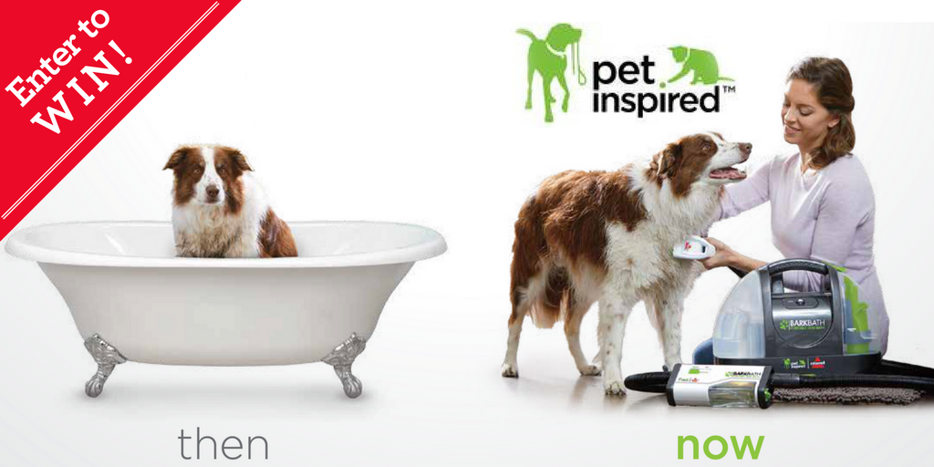 BISSELLclean's tweet photo. Mess less with the new BarkBath. It’s the best way to bathe your four-legged friend! Enter now to win one: https://t.co/4E4dQJsk1D https://t.co/A5ixnQHb3O