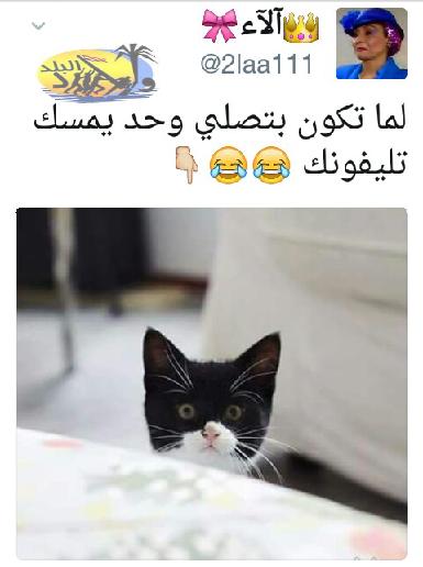 just_human130's tweet photo. ®ولاد😎البلد❤💪®
تابعونا ع الفيس بوك👇
https://t.co/c6CghV8eBw
ليكي فيمص😎💪 هنا👇
https://t.co/7imWcaTyND https://t.co/iN57gUdAqL