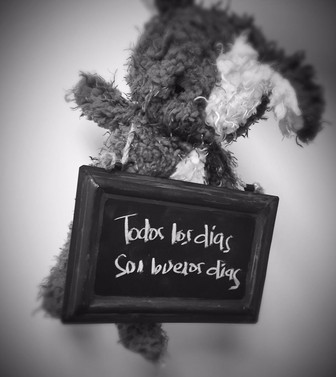 ikabron's tweet photo. Todos los días son buenos días ! #entedemente #ikabronline #contenidodemente #frasedeldia https://t.co/yfRn8Z3coH