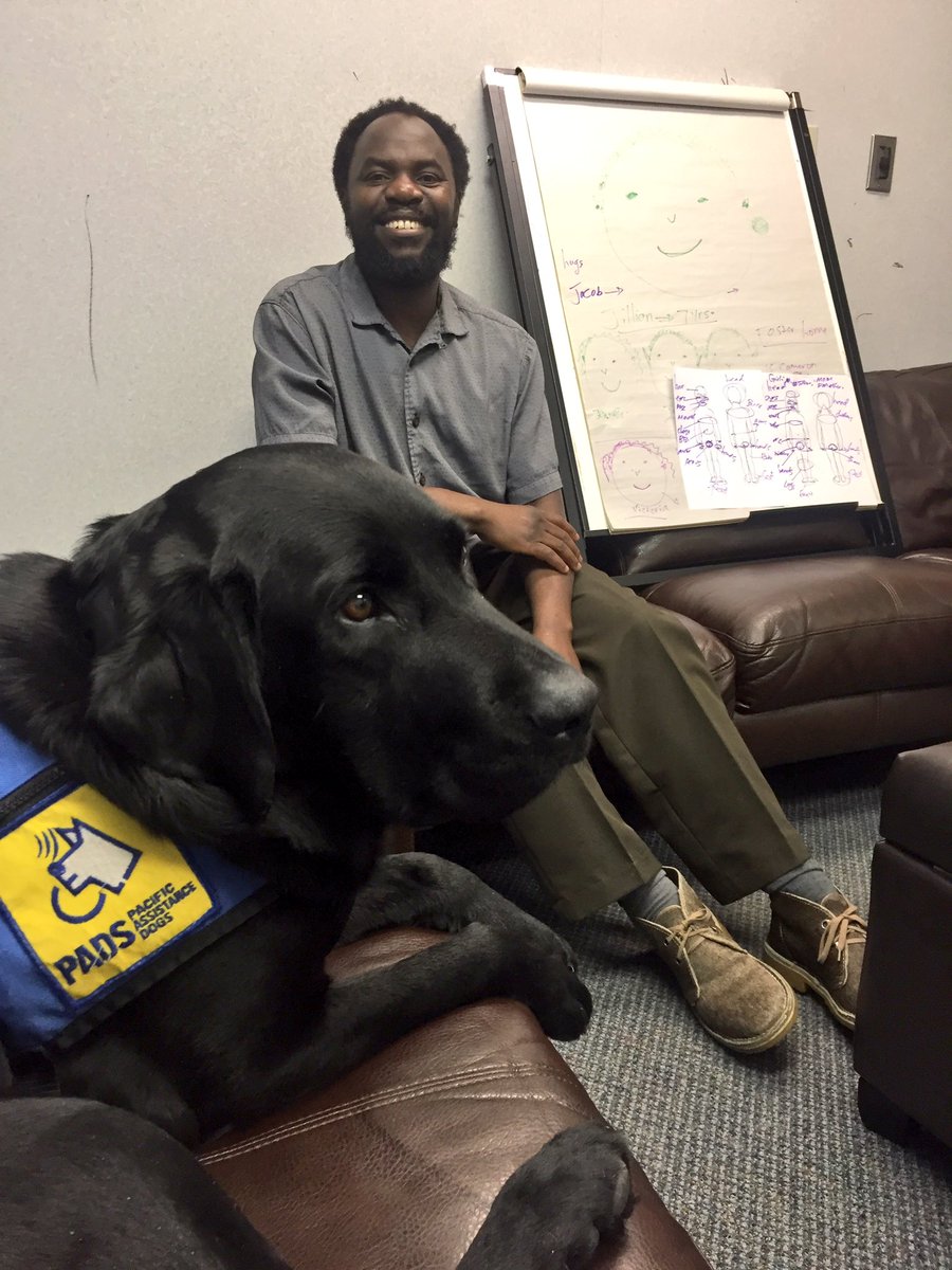 PADSk9Merlot's tweet photo. Time to put their skills to the test. I'll be the judge of that 😉#forensicchildinterview #observer #scenarios @reginapolice @PADSdogs #yqr https://t.co/PStkVWbbMt