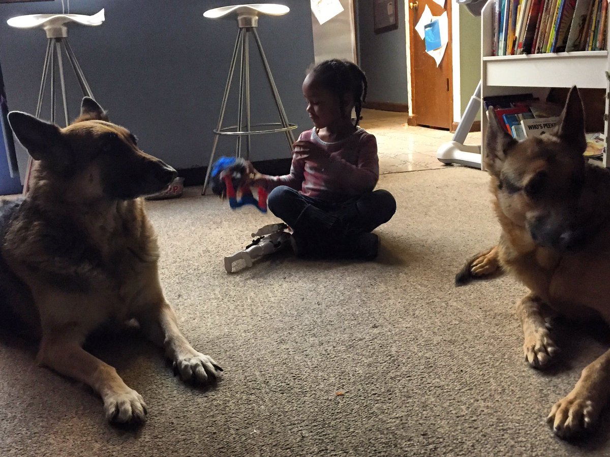 shiftintomanic's tweet photo. @Keisha_Waites your breed specific bill is hurtful & filled w https://t.co/y0Le8cm5Mq my 3yr old & her Bffs. #Ownedbygermanshepherds #hb313 https://t.co/HRBHQNVyF5