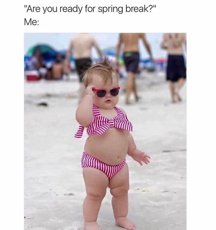 Sydney_Valek's tweet photo. Current mood: https://t.co/oONTEWRuXZ