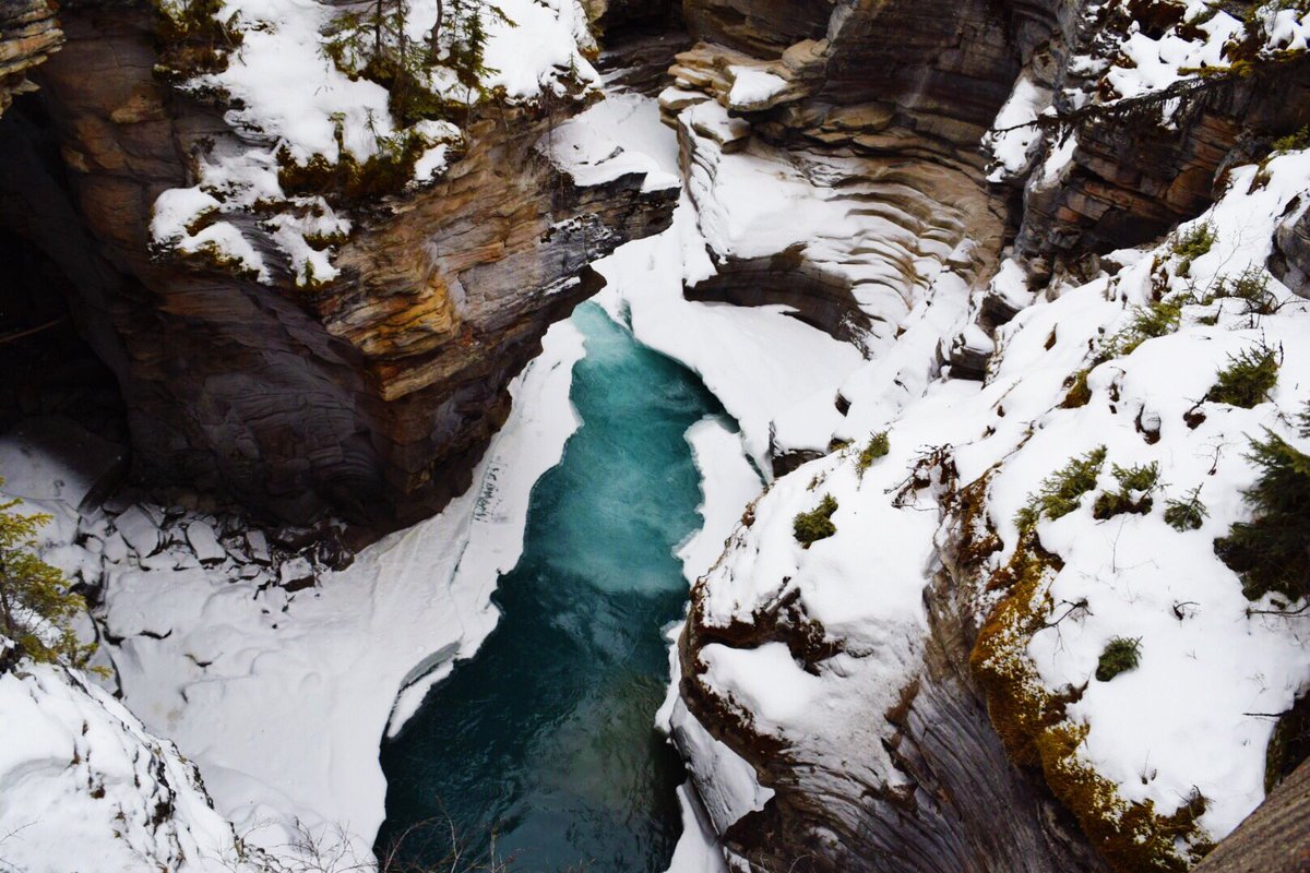 Prachtige, korte hike naar de Athabasca falls! ❄️💦 #MyJasper #Canada