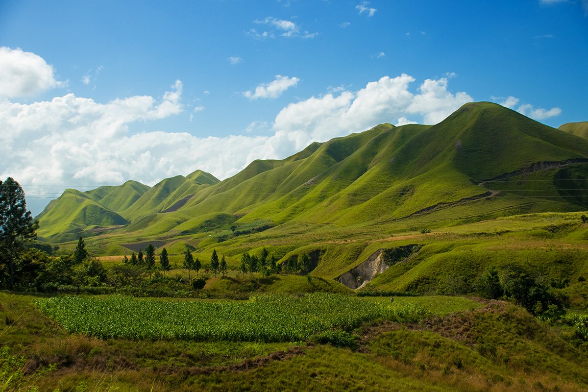 emilioloveraof's tweet image. Cocollar, edo. Sucre #venezuela