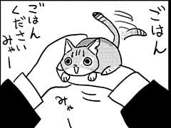 O Xrhsths サイコミ Sto Twitter 2 23更新情報 ねこはなはなし 第254話 第255話 著 夏目義徳 が公開中です サイコミ T Co Dl0pukqv2o