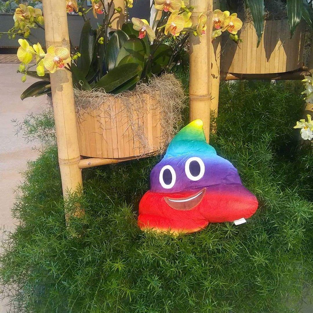 inthemixers's tweet photo. Poo knows  how magical springtime is. https://t.co/p3Lg4Z2I4K