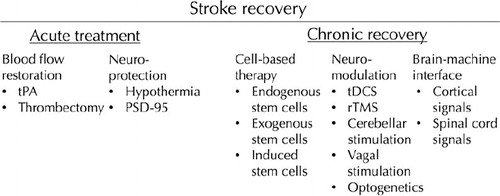 TheJNS's tweet image. #FreeArticle: Neurorestoration after stroke thejns.org/doi/full/10.31… 
 #ISC2017