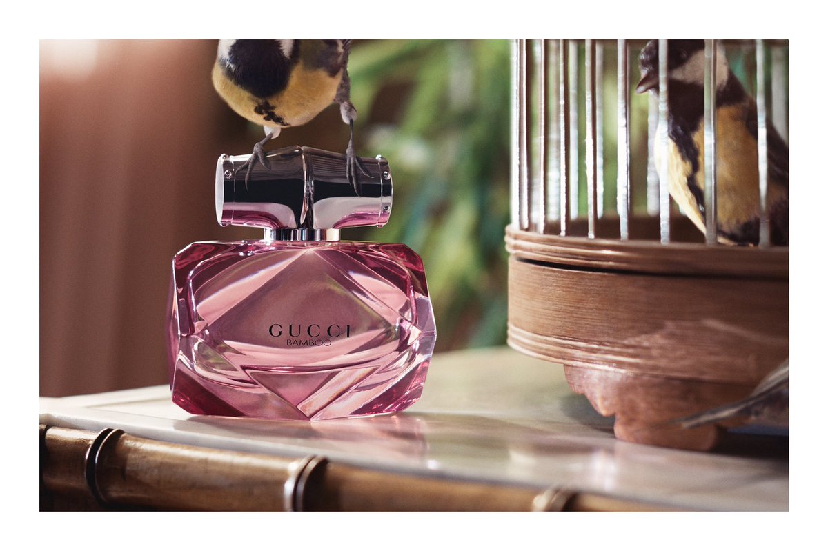 veroluchi's tweet photo. #VeroTips #ObjetosDeDeseo by @gucci #AmarLaModa by
#FashionL❤️ve https://t.co/KjayMBKRiO