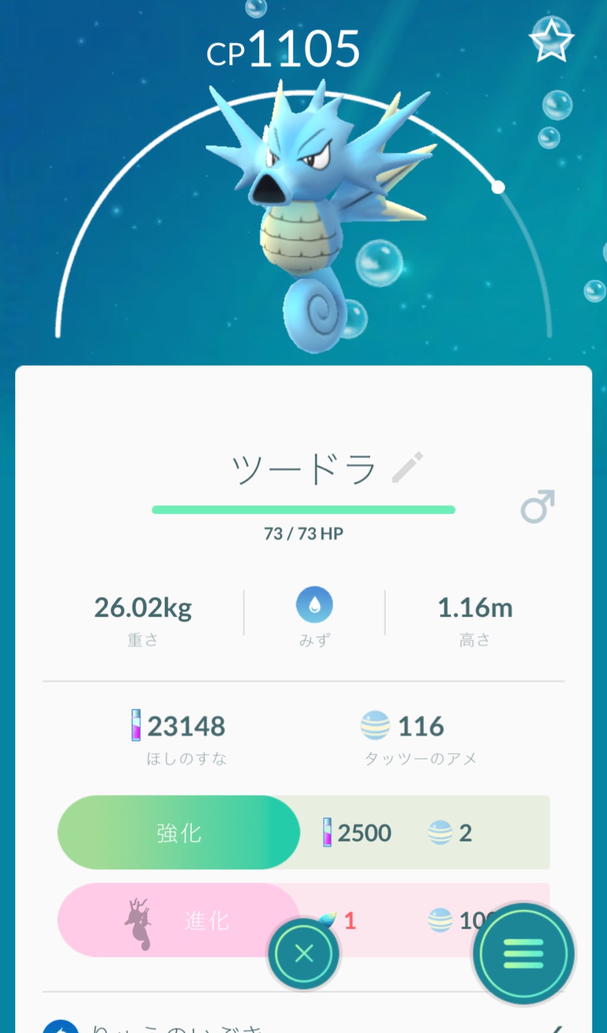 Twitter 上的 大石真翔 タッツーが進化したポケモン ずっとツードラだと思ってたんだけどシードラだった だって元々タッツーだし ツとシ 似てるし 悔しいから名前変えてやった T Co Ctf7bwuxbo Twitter