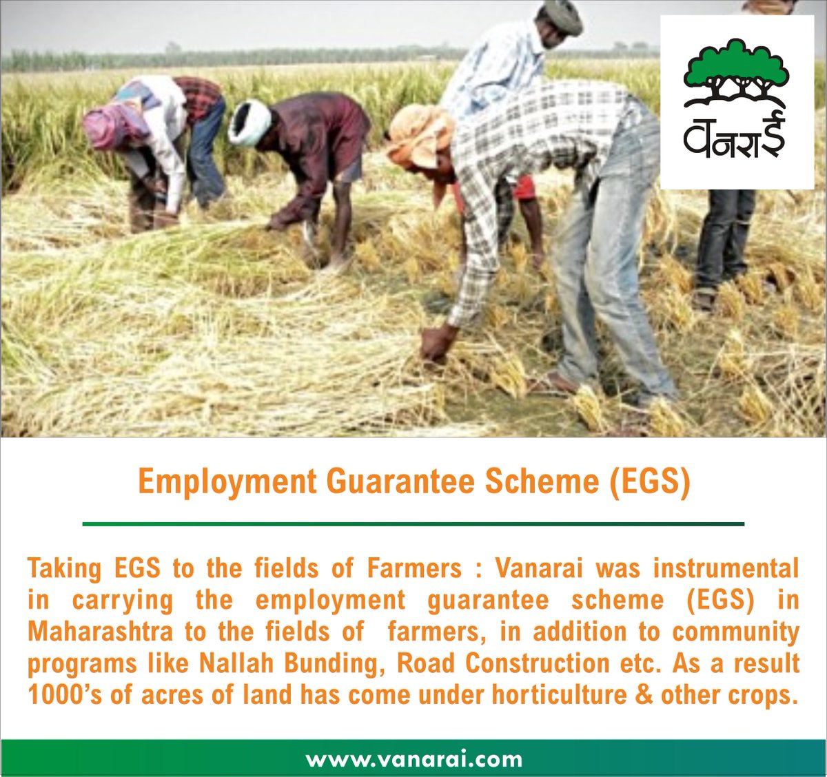 TrustVanarai's tweet photo. Employment Guarantee Scheme (EGS)
#Employment #farmers #Vanarai https://t.co/AYDAtFCXP5