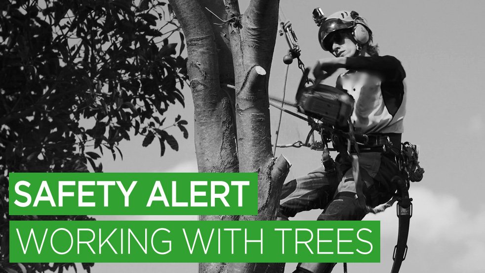 SafeWork_NSW's tweet image. A tree worker was seriously injured last week. If you work with trees watch our #videosafetyalert on #safetreework tiny.cc/treesafety