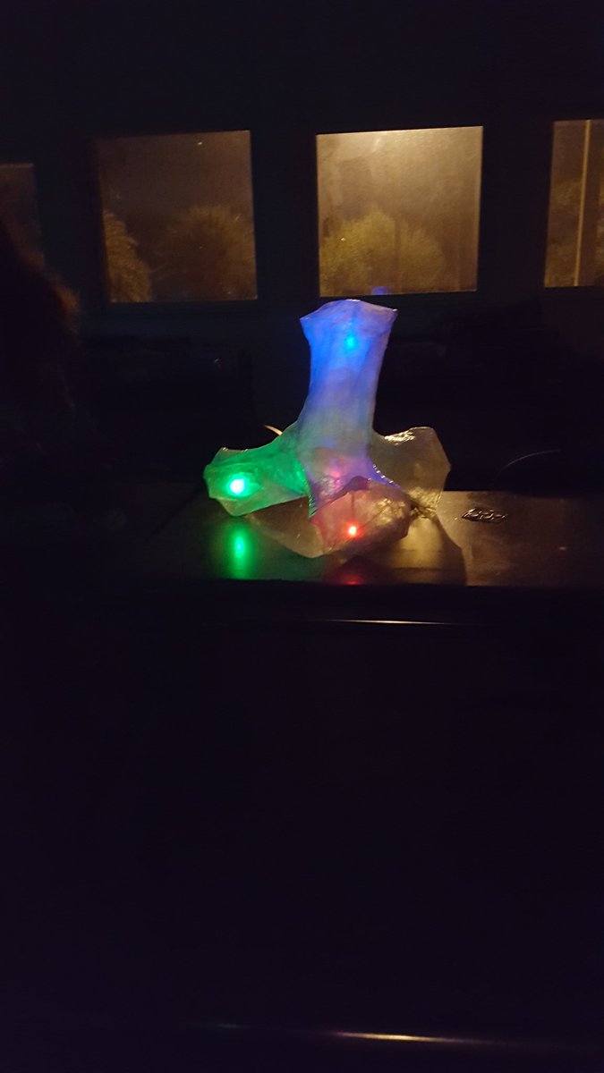 ruth_rn's tweet image. #itslit #3Dclass