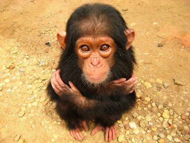 feelfully2's tweet image. Always be there for yourself buff.ly/2lMXU9N