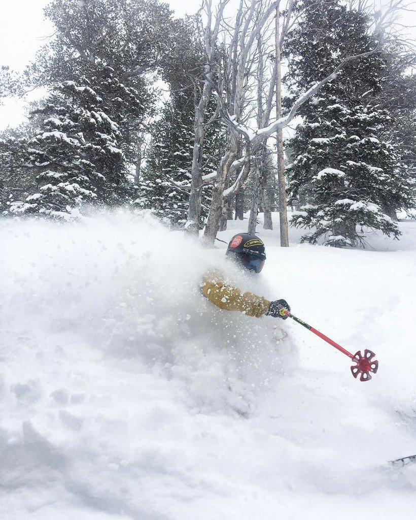 SolitudeMTN's tweet photo. ❄️DEEP in the Black Forest today at @SkiSolitude.❄️ | Photo Credit: @war76 Skier: @kogelmann with #PepPod @peppod. … https://t.co/IOJfh6ySl5
