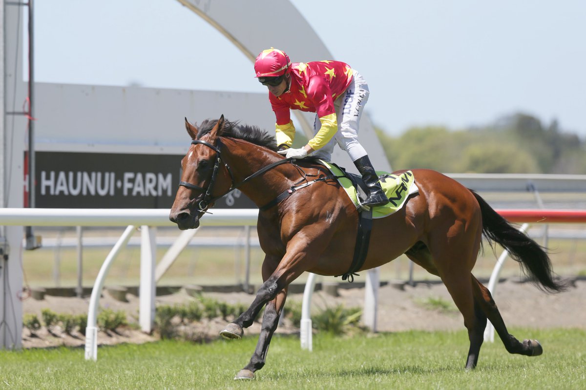 nzracingnews's tweet image. @PikeRacing @Chinahorseclub #AimSmart out to continue successful march towards juvenile spoils @mickwallace racingnews.co.nz/blog/post/1587…