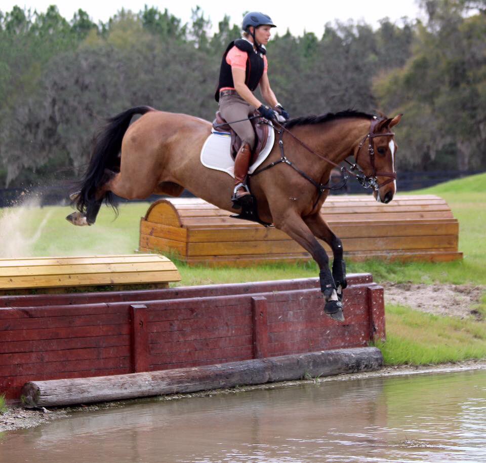 Super pic of Deniro Z doing his thing in the Phillip Dutton clinic at our Horsepower Equestrian!Great tune up before Pine Top 2*this wknd! 😎