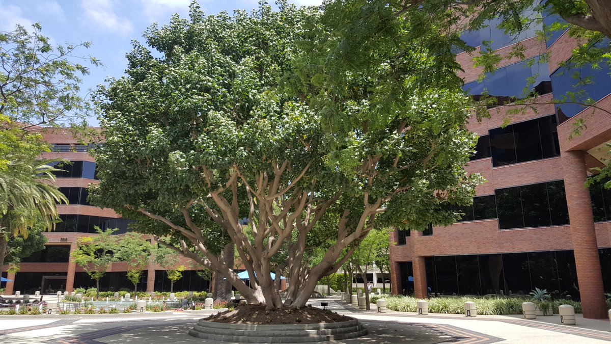 FastDirectLoans's tweet image. Like us on Facebook
facebook.com/FastDirectLend… 
and show us some love! 💌😍😻