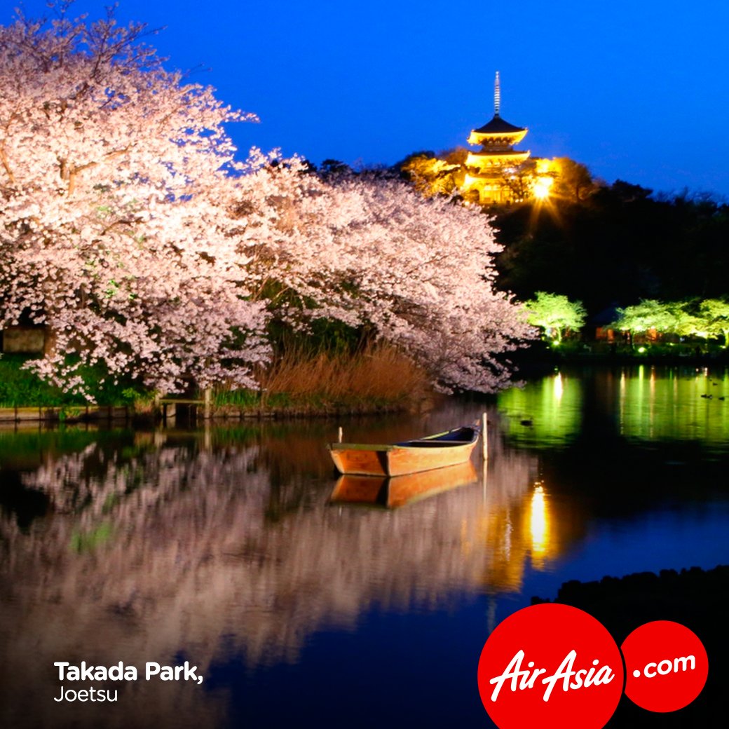 airasia's tweet photo. Best cherry blossoms spots in Japan 🌸🇯🇵 https://t.co/Z5yzgZiY7n
