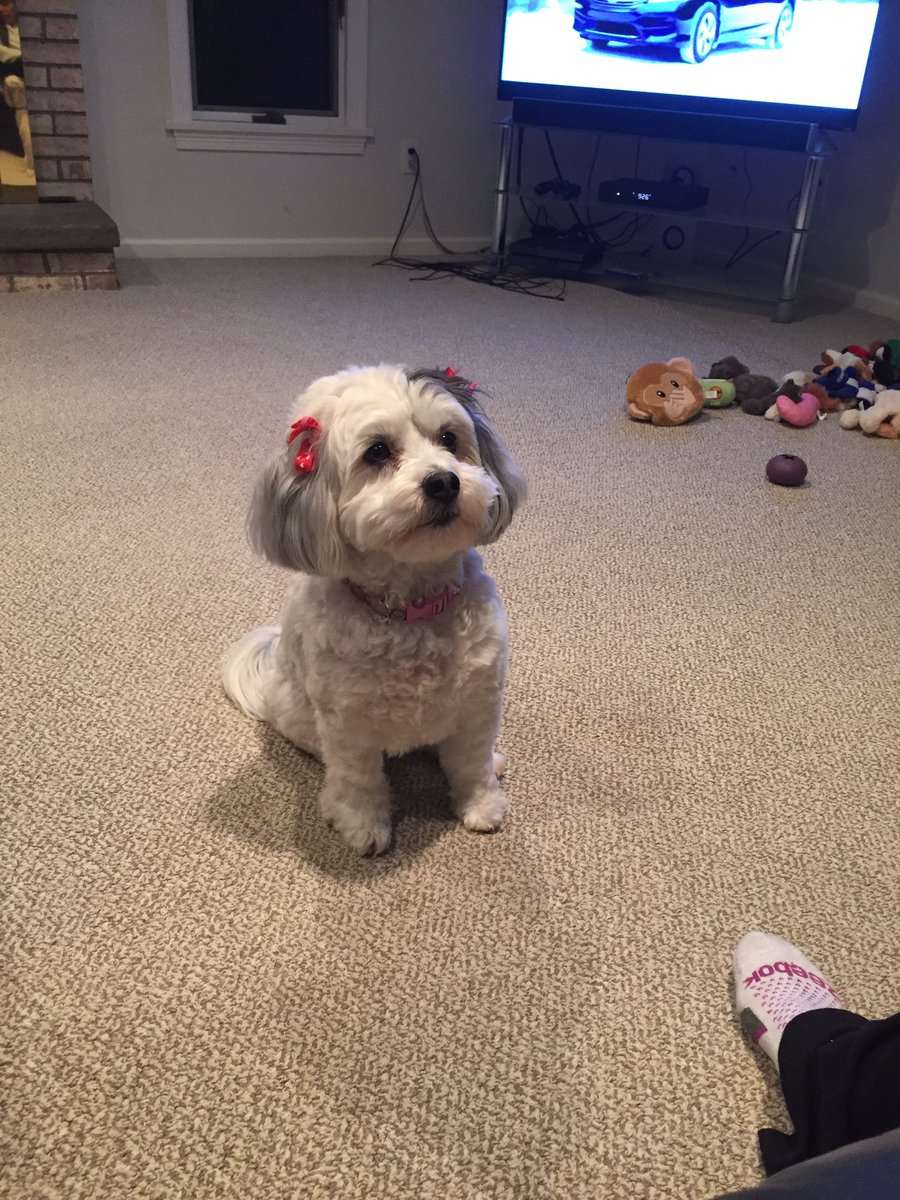 MUfland's tweet photo. #Testinghashtag https://t.co/yNCeBLawBK