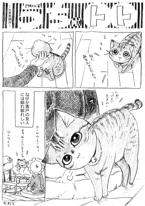 ねこまんが。第174話～in実家編Ⅳ～。やっと来週から通常更新ペースに戻ります!散々遅れてすみませんでした。…とこれからまた殺Q!12話の作業開始なのでうむむ。がんばりますー! 