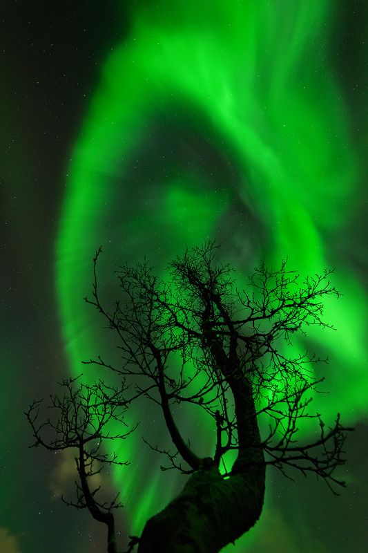 @exploradoryanez <a href="/WALLI27/">Jhon f perez🎶🎸🚵☯</a> <a href="/witch_dunk/">Josephine W. Mateos</a> <a href="/EligioDS/">Elig</a> <a href="/LALPUSHP/">Hargovind Sachdev</a> <a href="/salmanhamad1/">GOD=PEACE!БОГ=МИР</a> <a href="/dahalapenio/">Arćenio Antonio</a> <a href="/andyspeirs1/">andy.speirs</a> <a href="/dunaisiaka/">Baduna</a> @Abimaelvargas <a href="/Zyfar/">David</a> <a href="/slol59/">Drew in the Uk3️⃣5️⃣K</a>