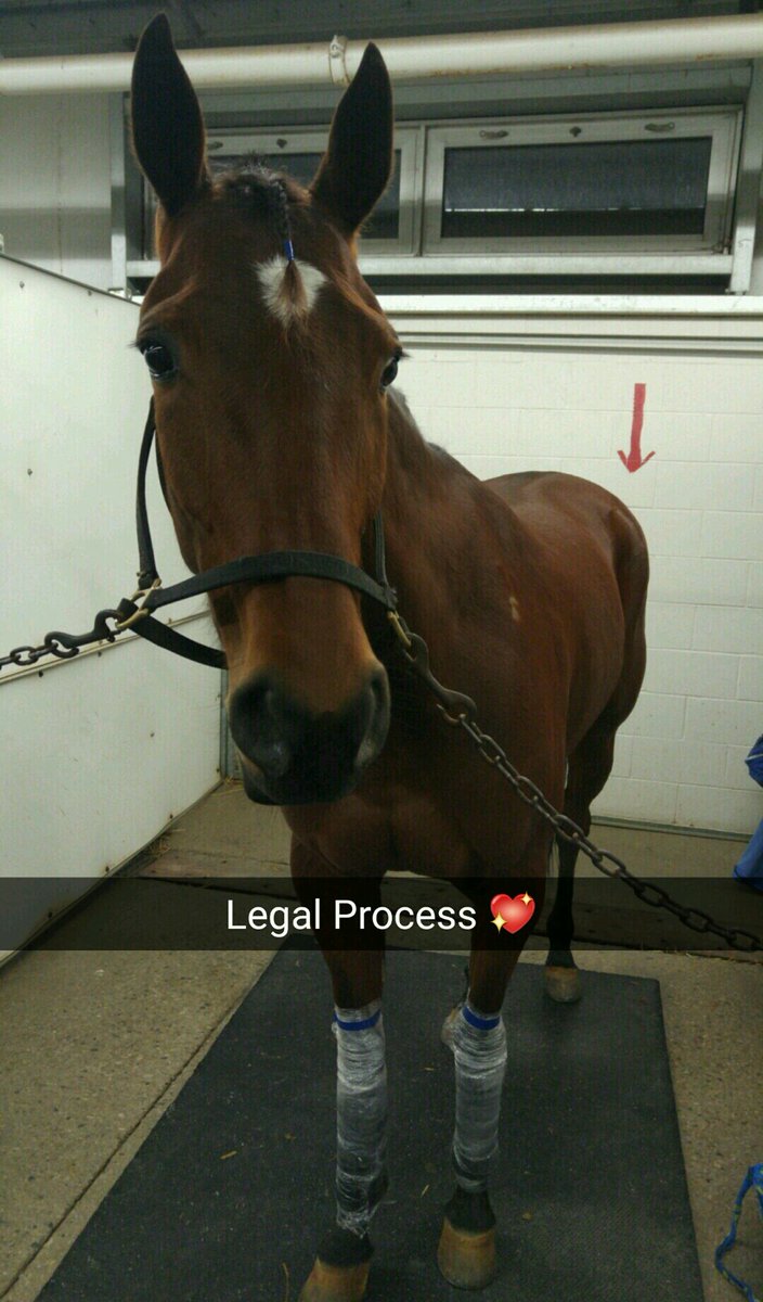 shae_sumner's tweet photo. 3rd in the preferred tonight for this pretty girl 💖 https://t.co/xDEypOO57D