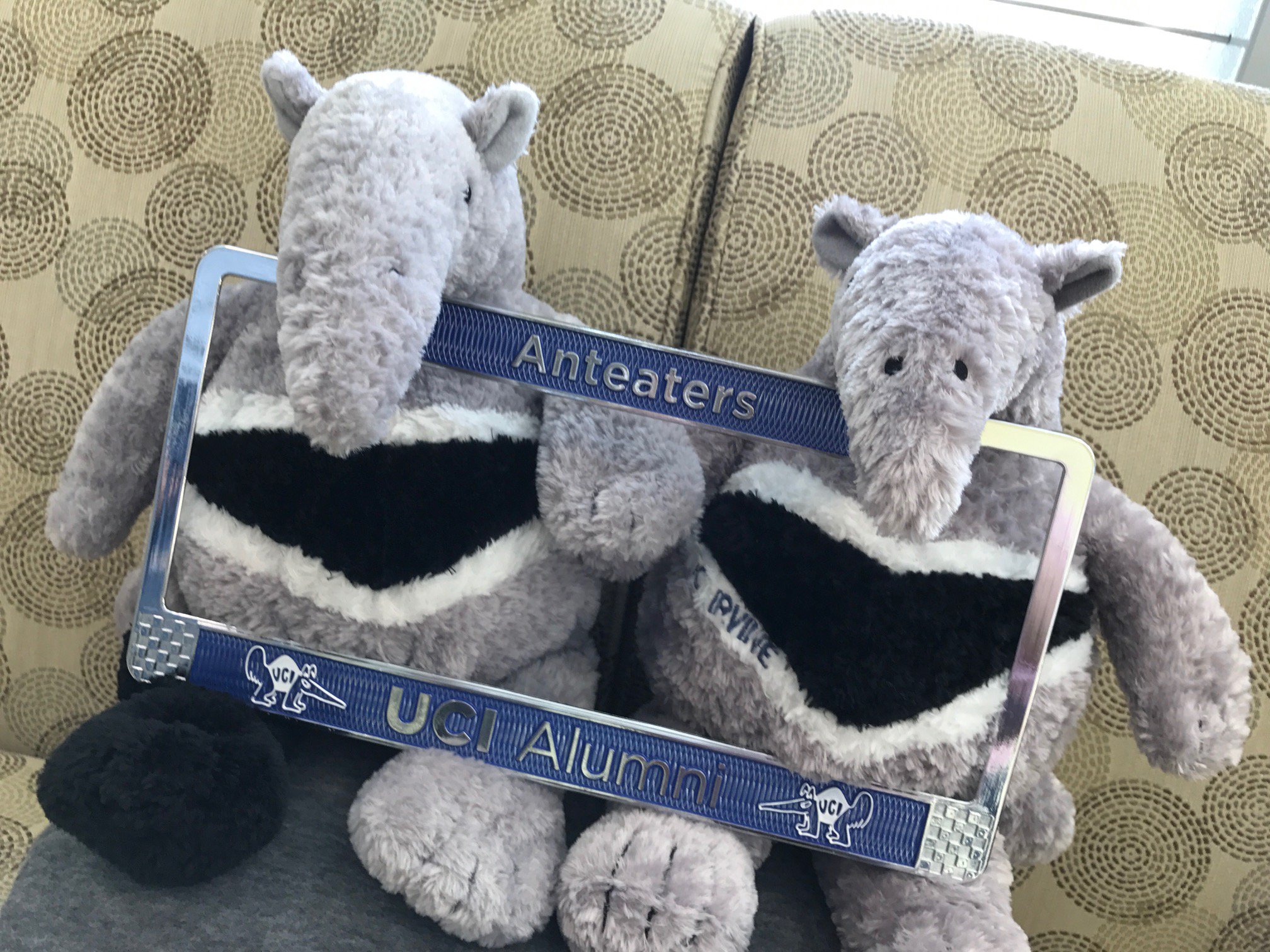 uci anteater plush