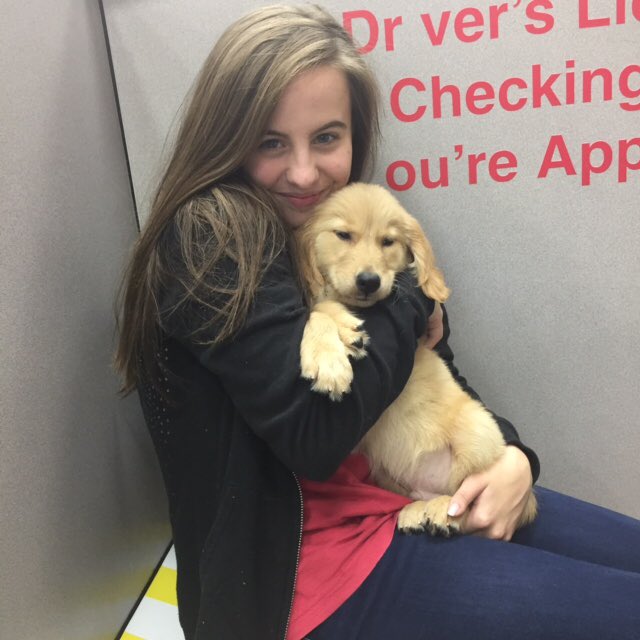 megan_shoe's tweet photo. Help a girl out 🐶❤️ https://t.co/18JqylZI0M
