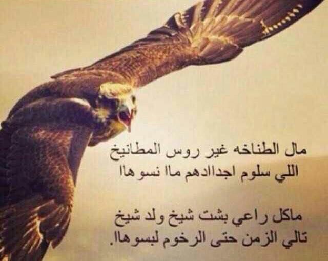 Q222Q_ tweet picture