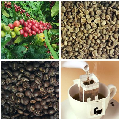 CoffeeFuwang's tweet photo. Coffee Harvest Season Under Way in China, who wanna cup our beans?fuwangcoffee@gmail.com https://t.co/zFA3wpehrE