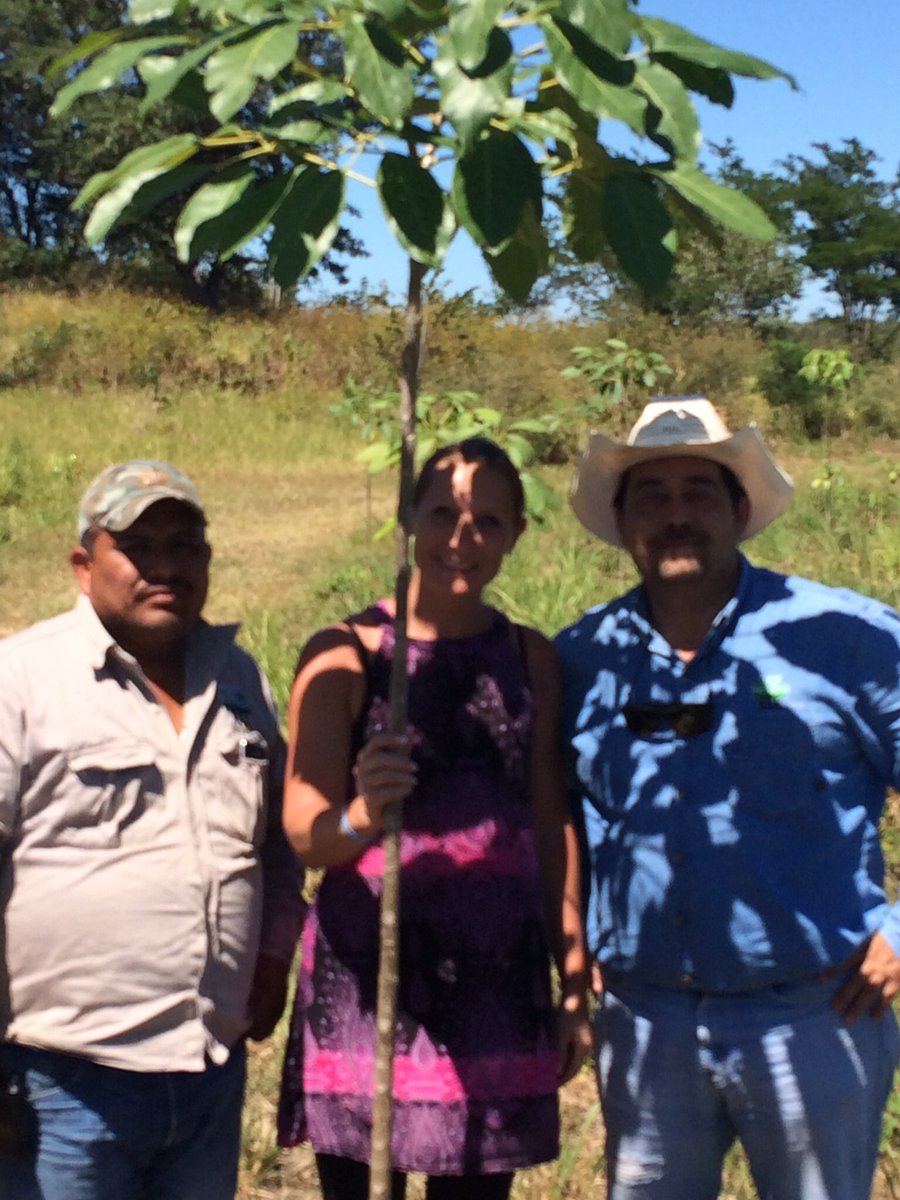 negreteplaya's tweet photo. Hoy tuvimos la visita de una compañera de Plant for the Planet Suiza. Al rancho donde sembramos más de un millón de Arboles en 2016 https://t.co/wcmCFLsOvA