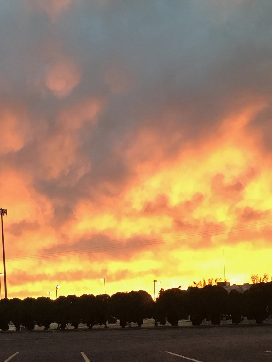 GriffingKendra's tweet photo. Our Awesome creator at work! #godisgood https://t.co/sQWLhrJ97w