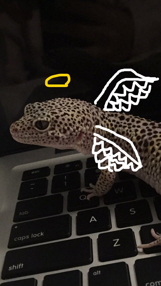 SCABSALAD's tweet photo. i can be your angle or yuor devil https://t.co/2fUWsDBqm6