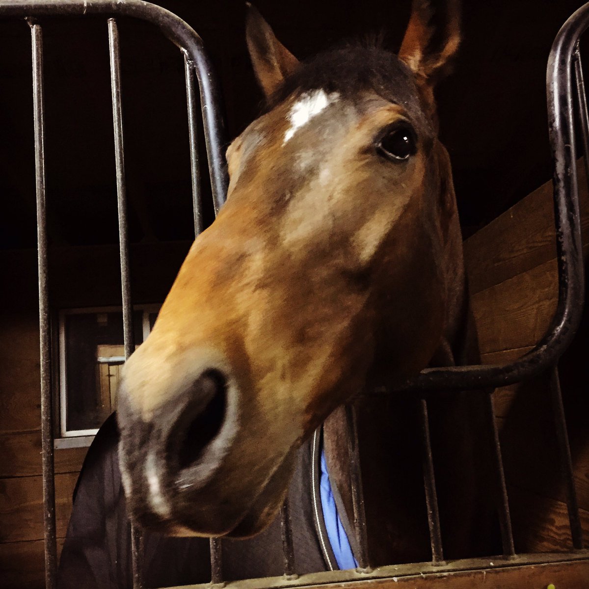 Sandy Gibson tweet media